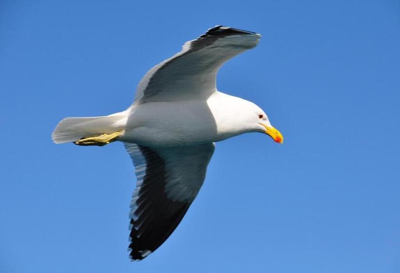 펜션 Zeezicht Guest House