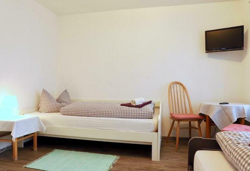 ユースホステル Pension Adler