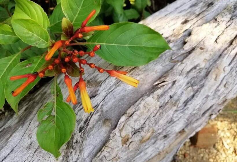 Общежитие Wang Jai Kwang Space Inn