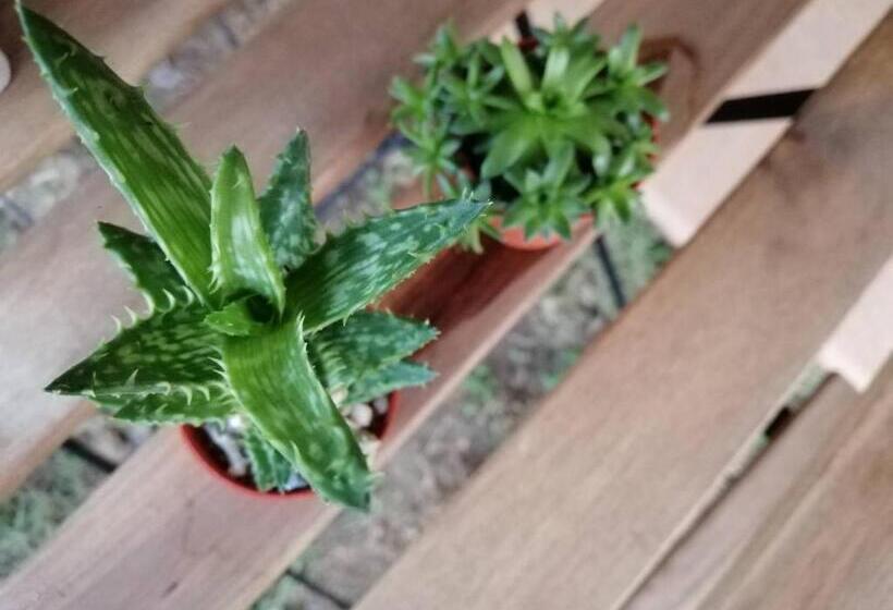 Общежитие Wang Jai Kwang Space Inn