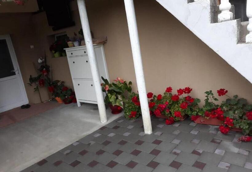 ベッドアンドブレックファースト Casa Sannicolau