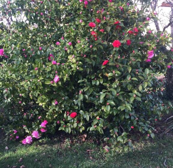 ベッドアンドブレックファースト Chambres D Hotes Des Forets