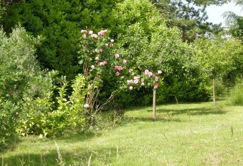 민박 Château De Cartou
