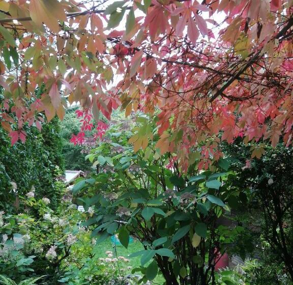 민박 Gästezimmer Am Hüstert