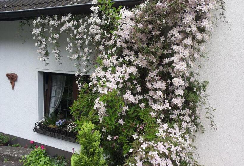 민박 Gästezimmer Am Hüstert