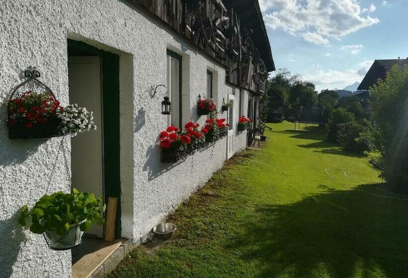 住宿加早餐  Haus Elisabeth