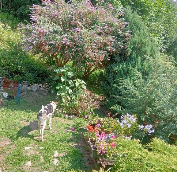 צימר Il Ciliegio