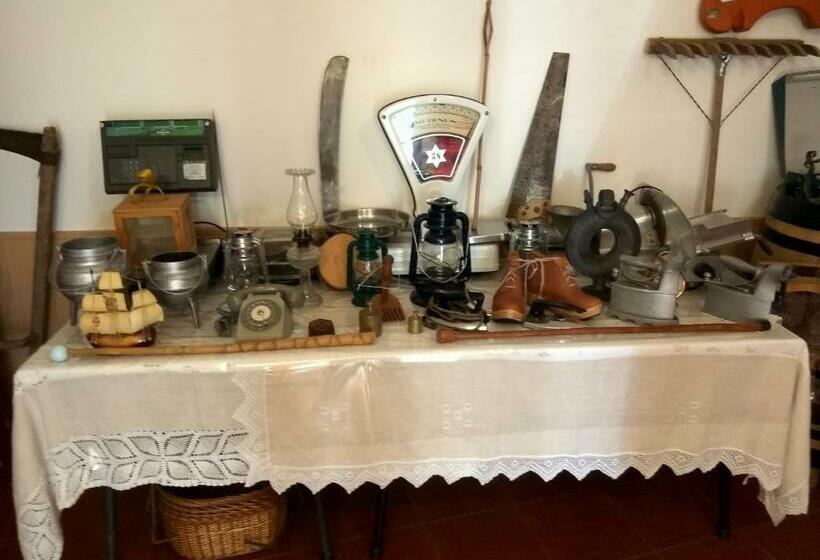 مبيت وإفطار Joaquim Do Norte