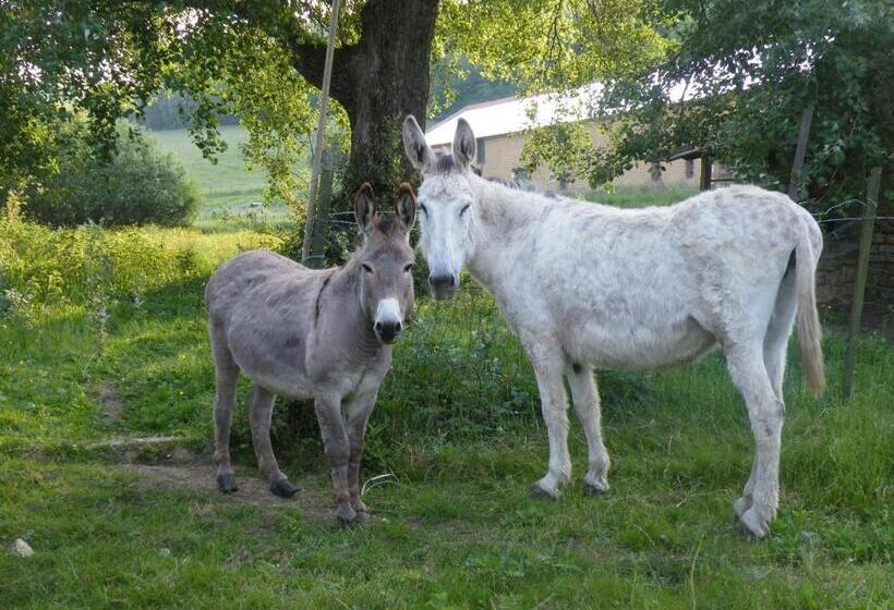 민박 Kotas Esprit Nordique