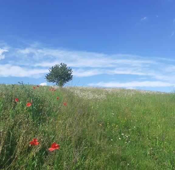 مبيت وإفطار La Bicocca
