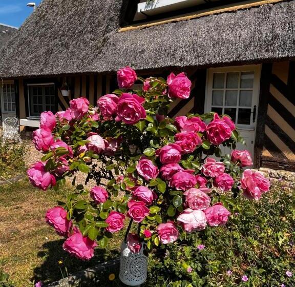 Bed and Breakfast La Romance Et La Romanesque