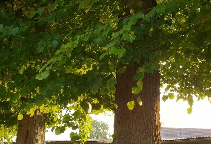 مبيت وإفطار La Tilia