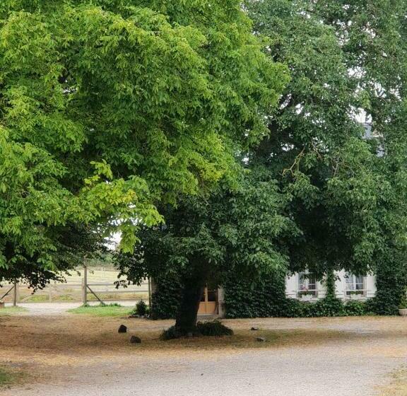 住宿加早餐  La Tilia