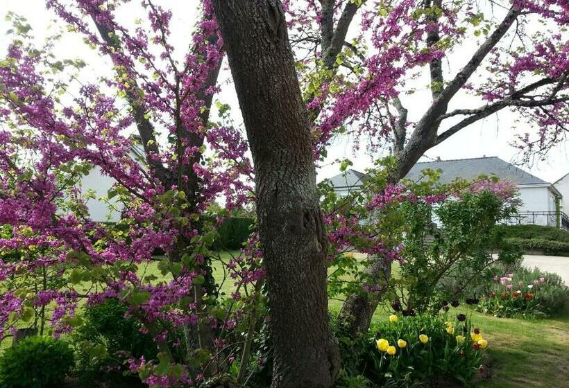 צימר Les Amandines