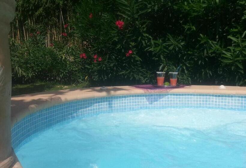 Bed and Breakfast Sous Le Mûrier