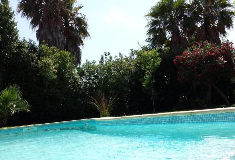 Bed and Breakfast Sous Le Mûrier