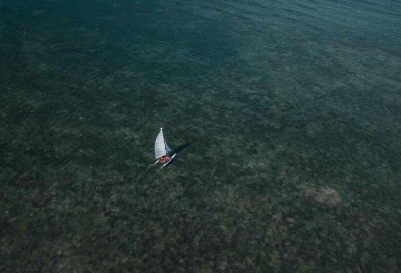 住宿加早餐  Ten Rooms