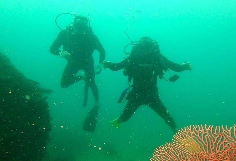 住宿加早餐  Ten Rooms