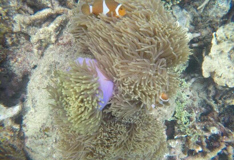 住宿加早餐  Ten Rooms