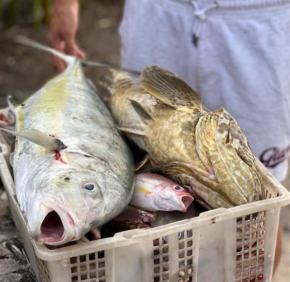 住宿加早餐  Ten Rooms