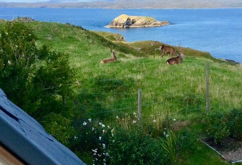 مبيت وإفطار Tor Druim