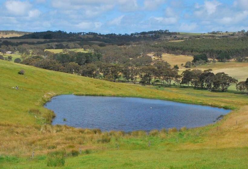 בית מלון כפרי Back Valley Farmstay Bed And Breakfast