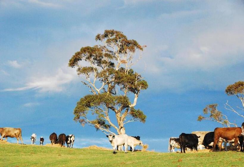 בית מלון כפרי Back Valley Farmstay Bed And Breakfast
