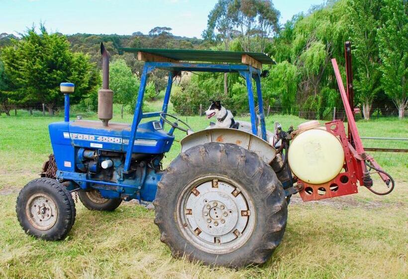 בית מלון כפרי Back Valley Farmstay Bed And Breakfast