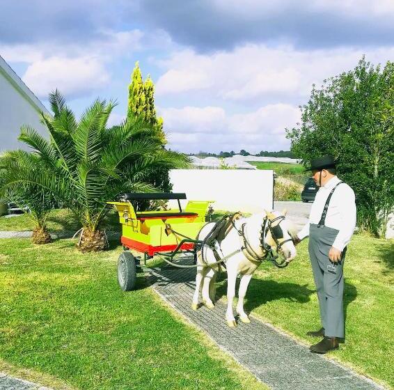 ホテル Country Club   Sto Estevao