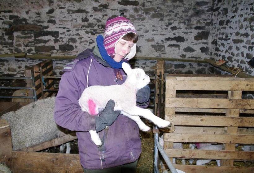 ホテル Ullathorns Farm