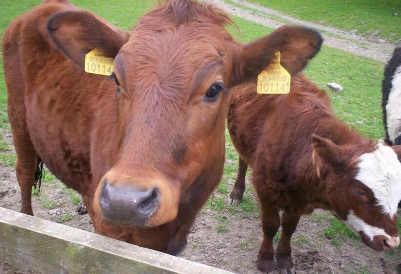 ホテル Ullathorns Farm