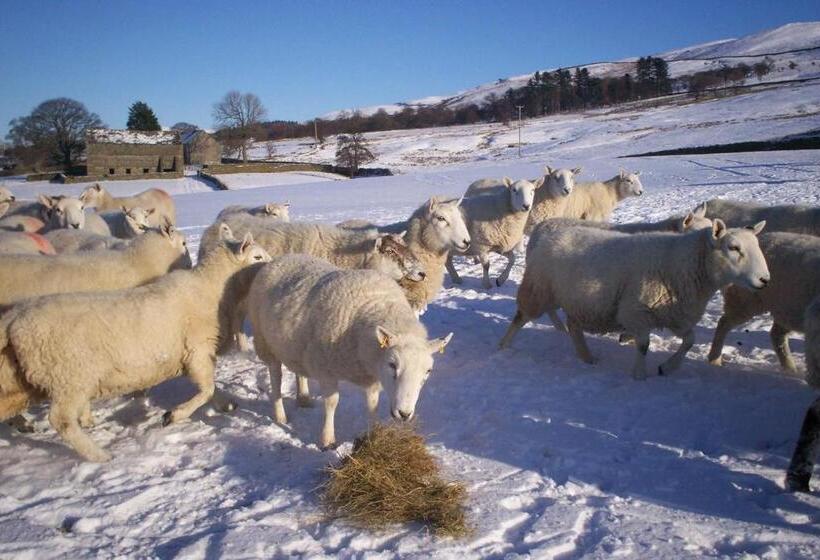 ホテル Ullathorns Farm