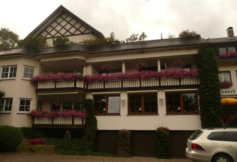 호텔 Woiler Hof Garni