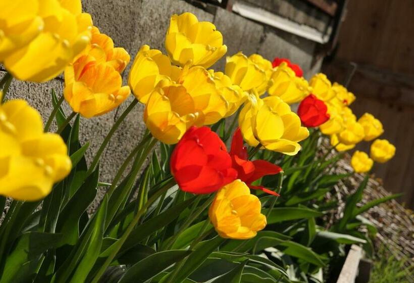 בית מלון כפרי Zehentnerhof