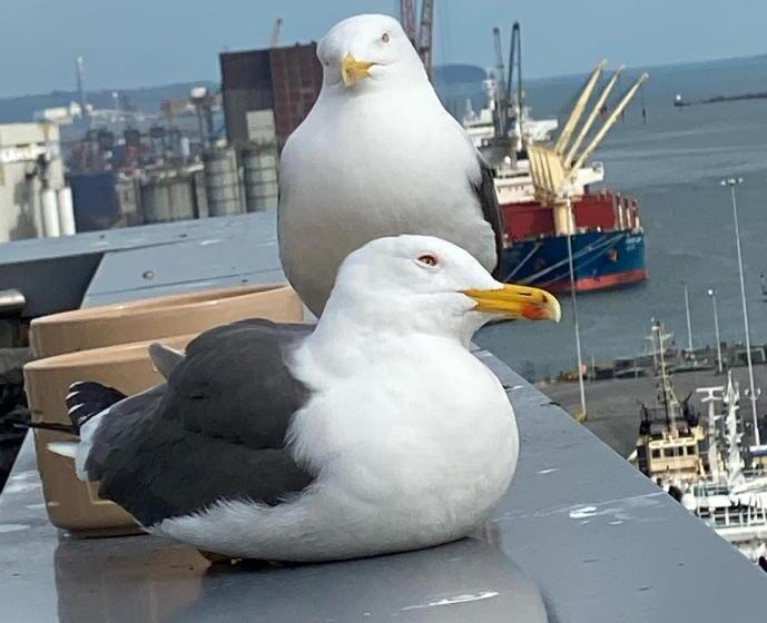 James Clow Bed & Breakfast