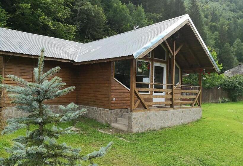 פנסיון Casa De Vacanta Aurelia