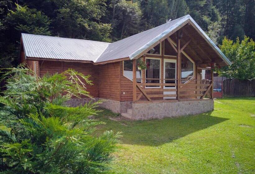 פנסיון Casa De Vacanta Aurelia