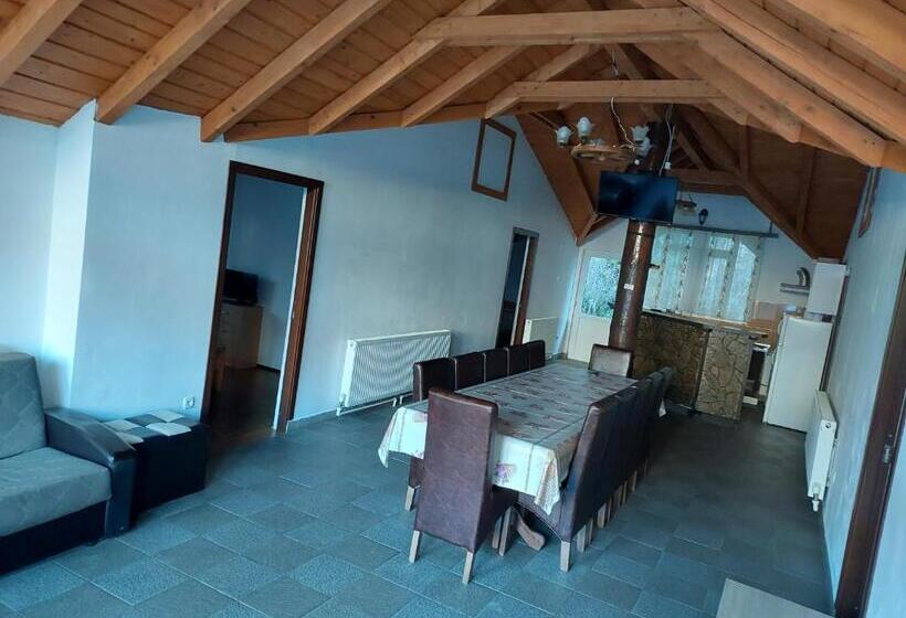 פנסיון Casa De Vacanta Aurelia