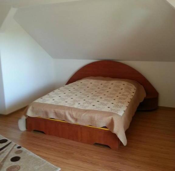 Пансион Casa De Vacanta Macovei0744