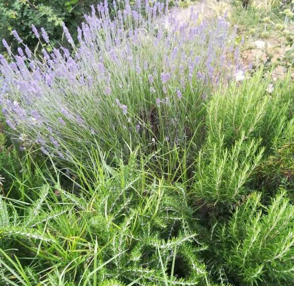 펜션 Chez Jeff & Aurélie