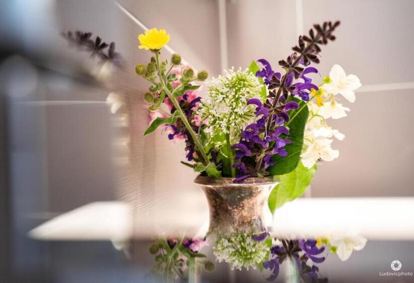 膳宿费 La Maison De Raphaël