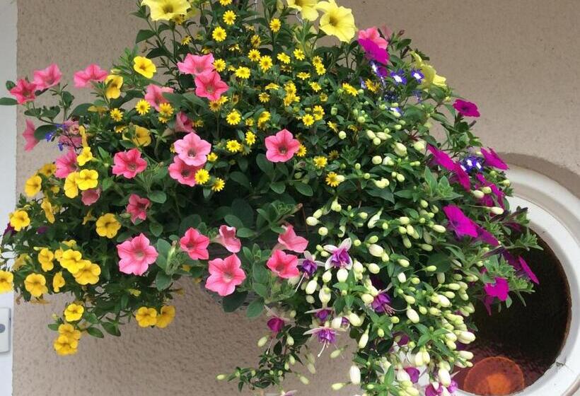 膳宿费 The Firs At Hay On Wye B&b