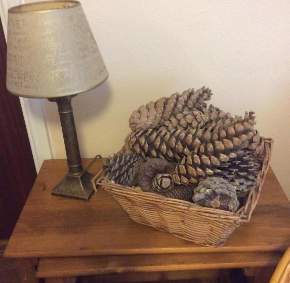 بنسيون The Firs At Hay On Wye B&b