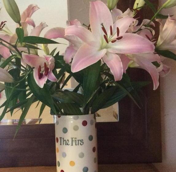 膳宿费 The Firs At Hay On Wye B&b