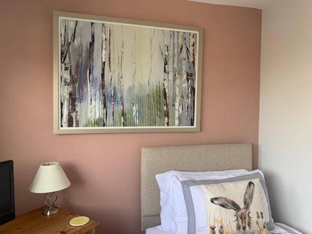 بنسيون The Firs At Hay On Wye B&b