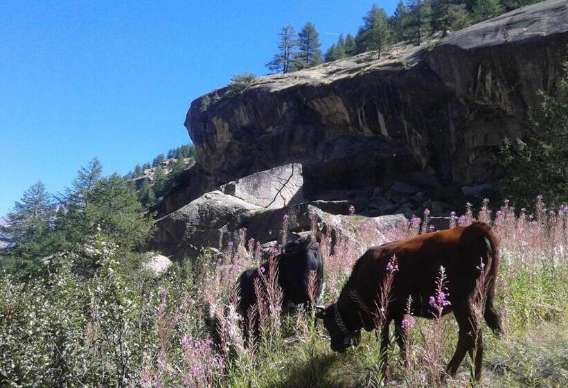 פנסיון Vers Le Bois