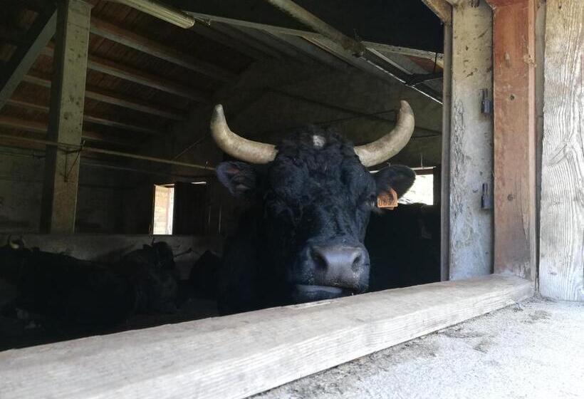 פנסיון Vers Le Bois