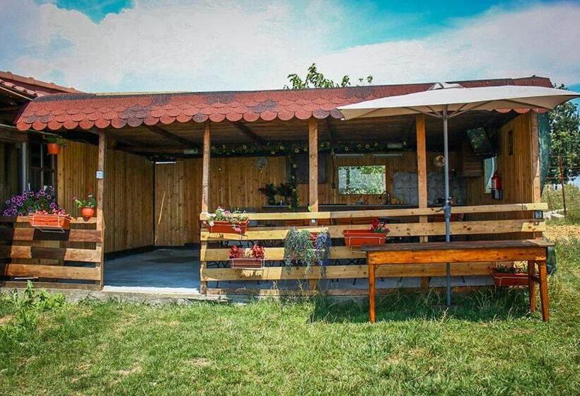 بنسيون Vila Victor   Adults Only