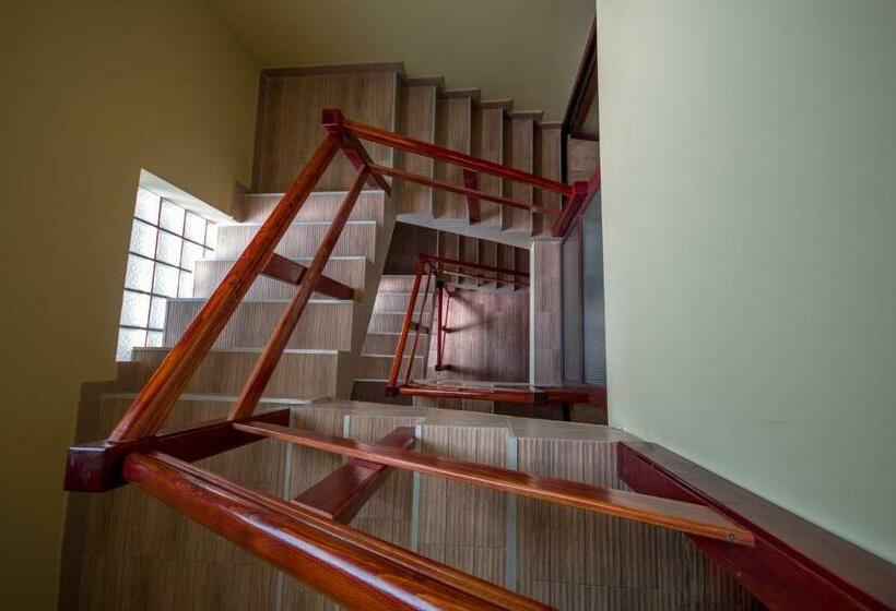 بنسيون Vila Victor   Adults Only