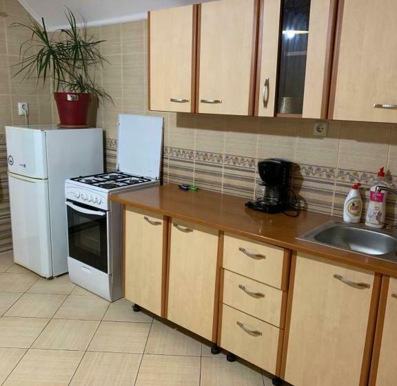 ユースホステル Casa Galbena